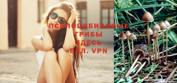 винт Аксай