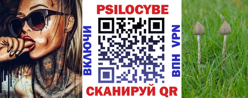 kraken зеркало купить наркотик Ленинск Псилоцибиновые грибы Cubensis